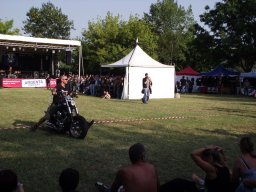 motoduck 2013_055